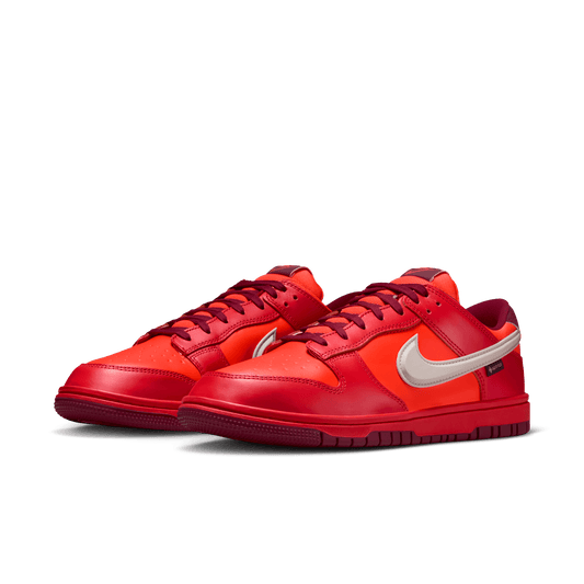 Nike Men's Dunk Low GORE-TEX HQ2053-800