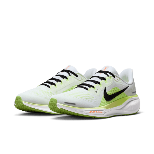 Nike Men's Pegasus 41 FD2722-120