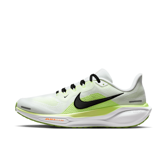 Nike Men's Pegasus 41 FD2722-120
