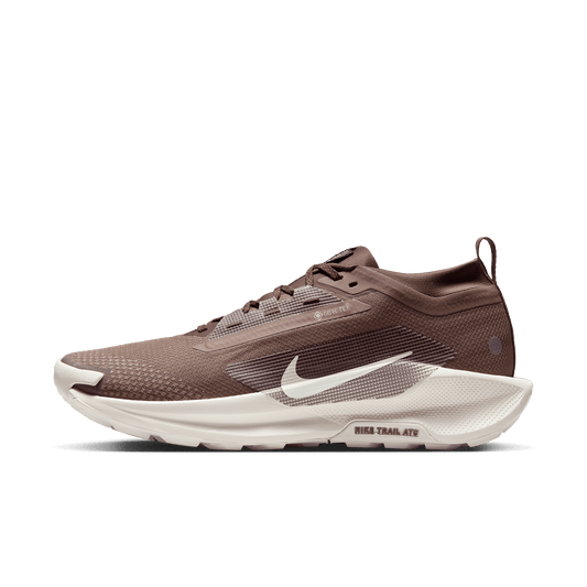 Nike Men's Pegasus Trail 5 GORE-TEX SP HQ7494-200