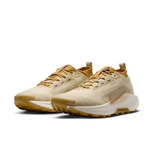 Nike Men's Pegasus Trail 5 GORE-TEX SP HQ7494-700