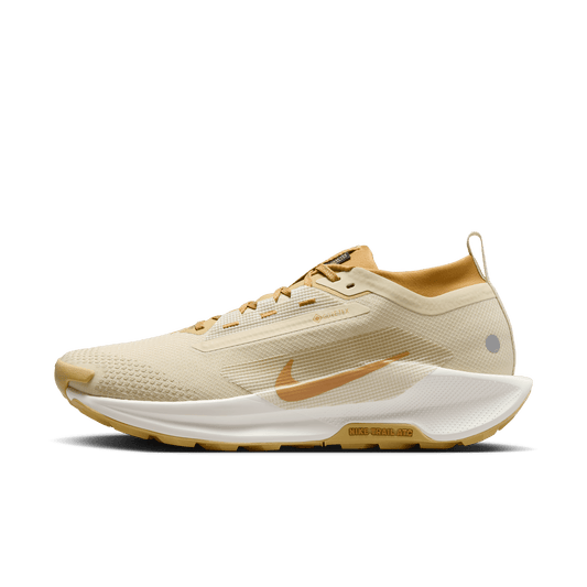 Nike Men's Pegasus Trail 5 GORE-TEX SP HQ7494-700