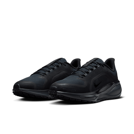 Nike Women's Pegasus 41 Gore-Tex FQ1357-001