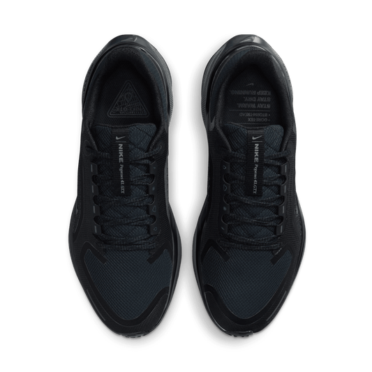 Nike Women's Pegasus 41 Gore-Tex FQ1357-001